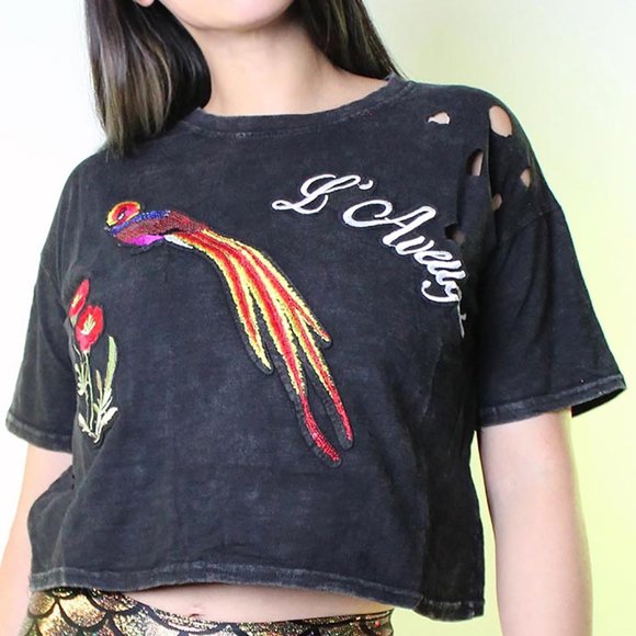 Phoenix Crop Top T-Shirt - Picture 1 of 1